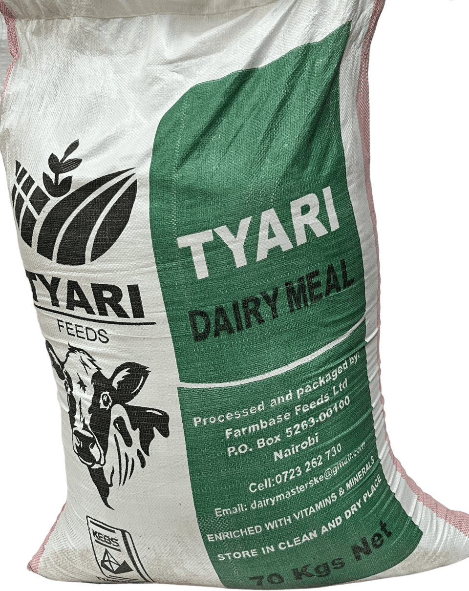 dairy_meal